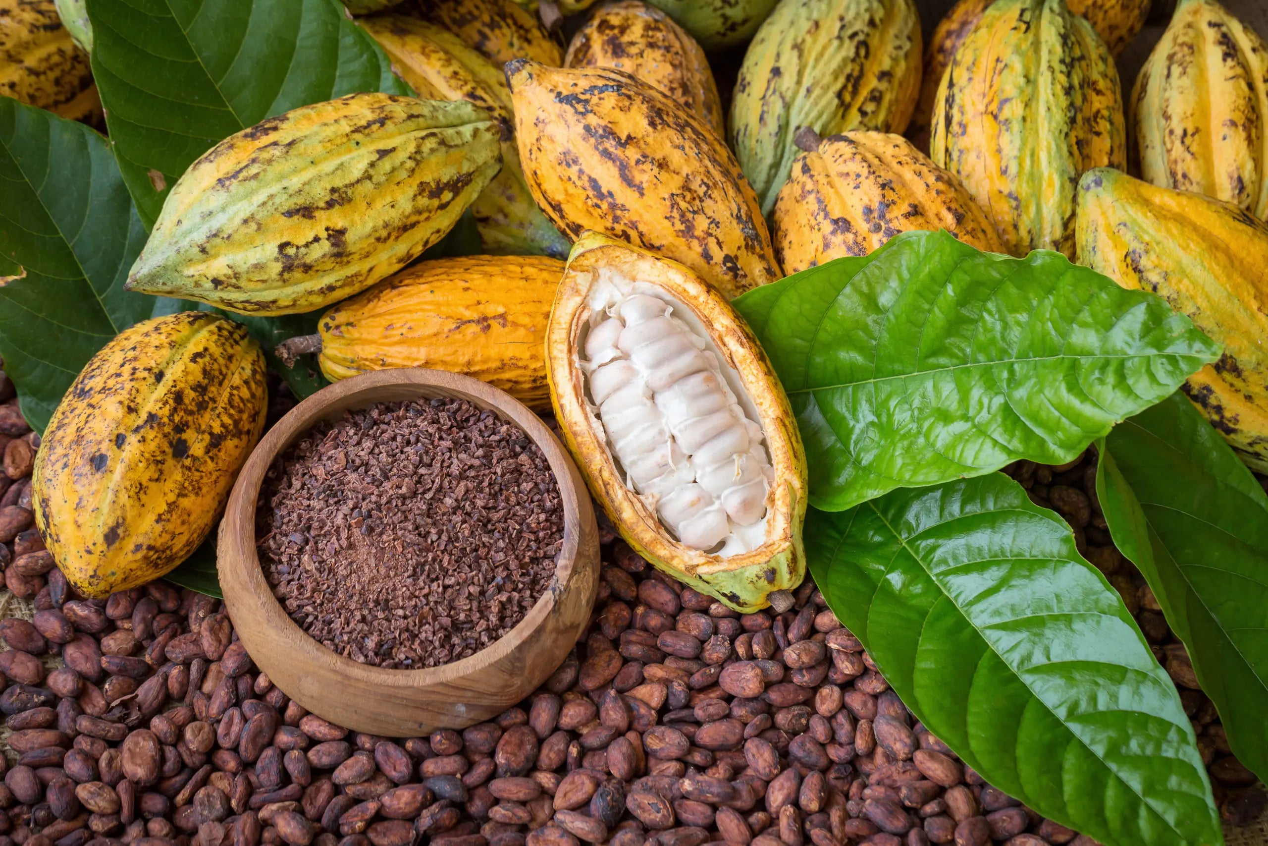 Cacao Especial