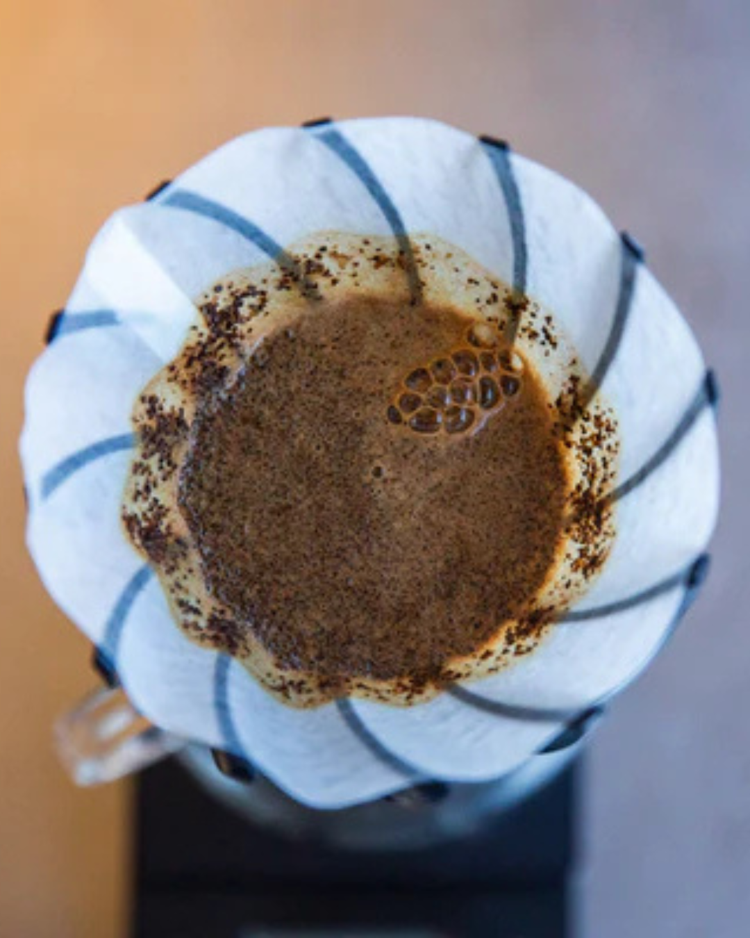 Kit Cafe Drip V60 Flor de Loto Tipo Hario Suiren