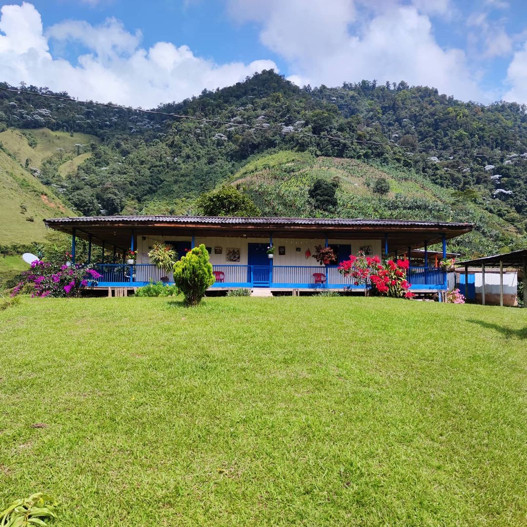 Café Especial Blend Origen Lavado | Insignia Colombia Suave 250g | Jardín-Ant