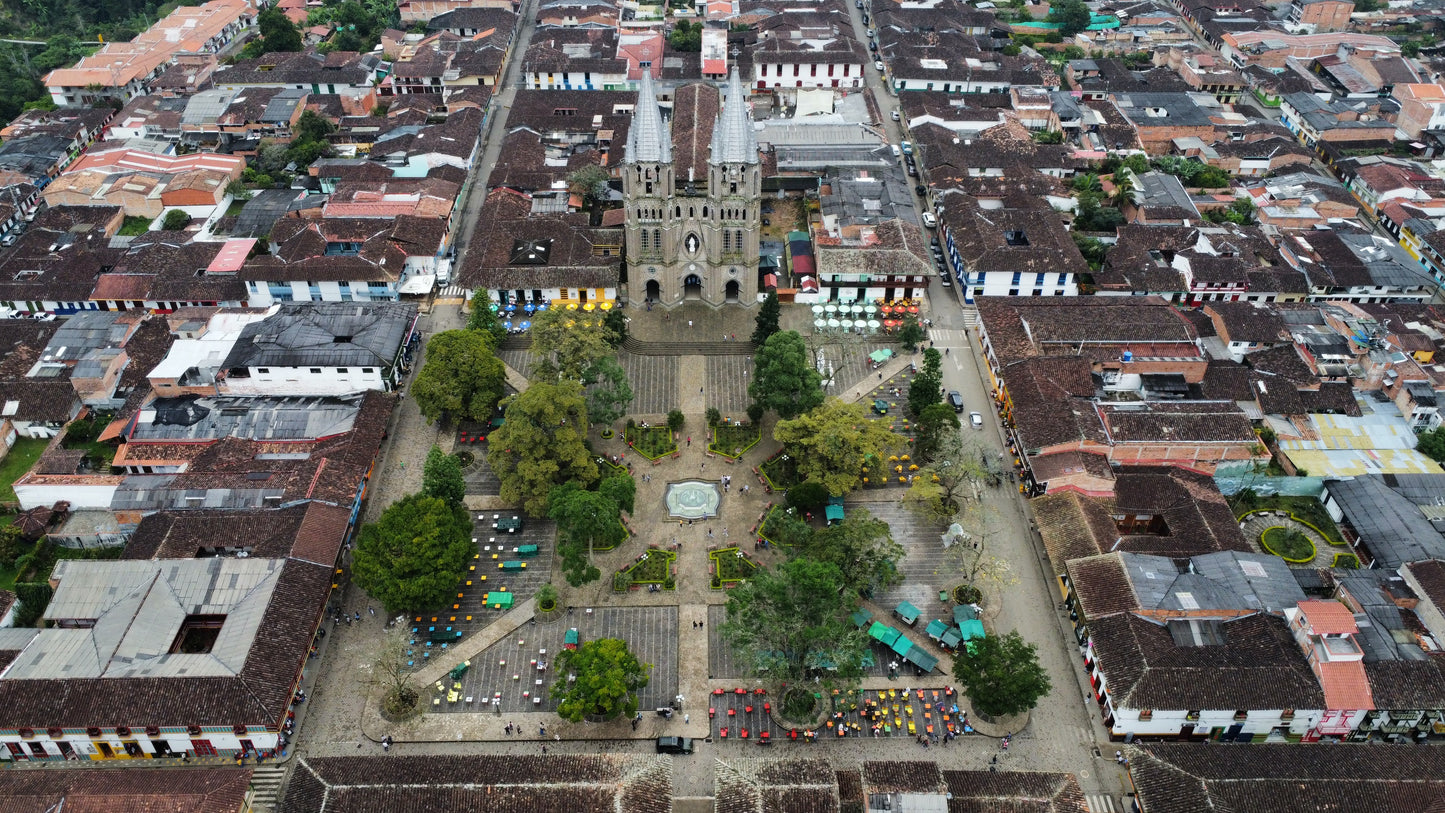 Café Especial Blend Origen Lavado | Insignia Colombia Suave 250g | Jardín-Ant