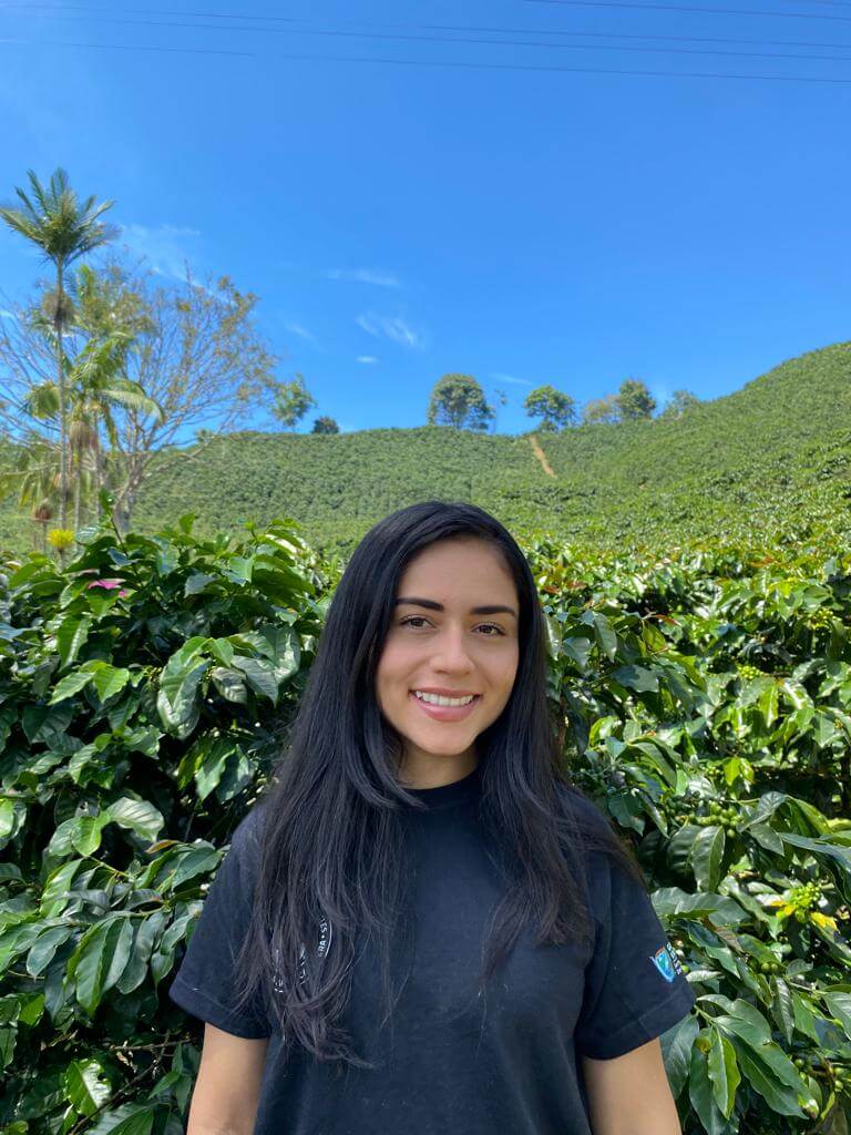 Café de Especialidad Variedad Castillo Rosario - La Camelia 250g