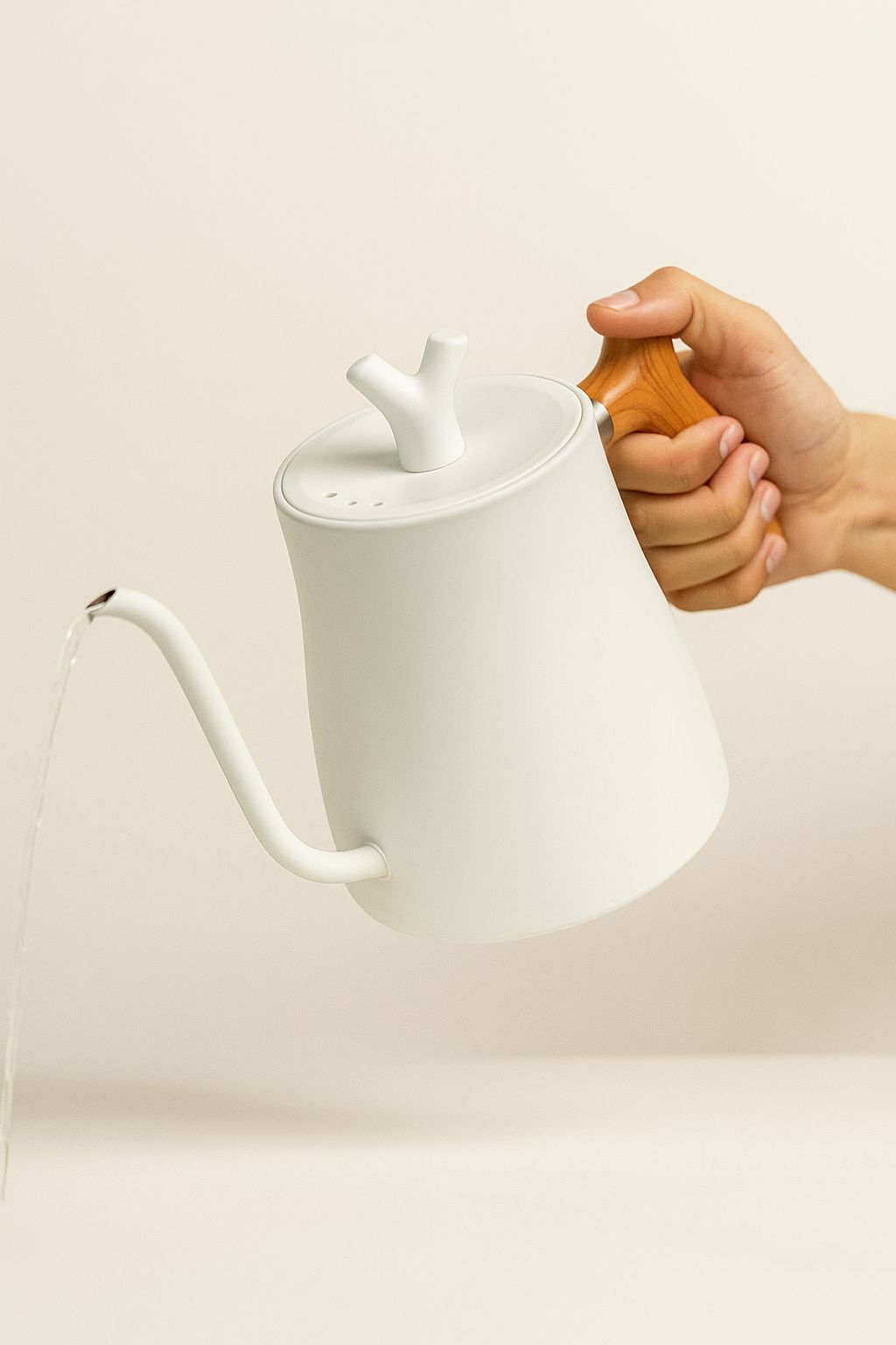 Calentador Agua Electrico Graduable Control Temperatura Profesional Acero Inoxidable