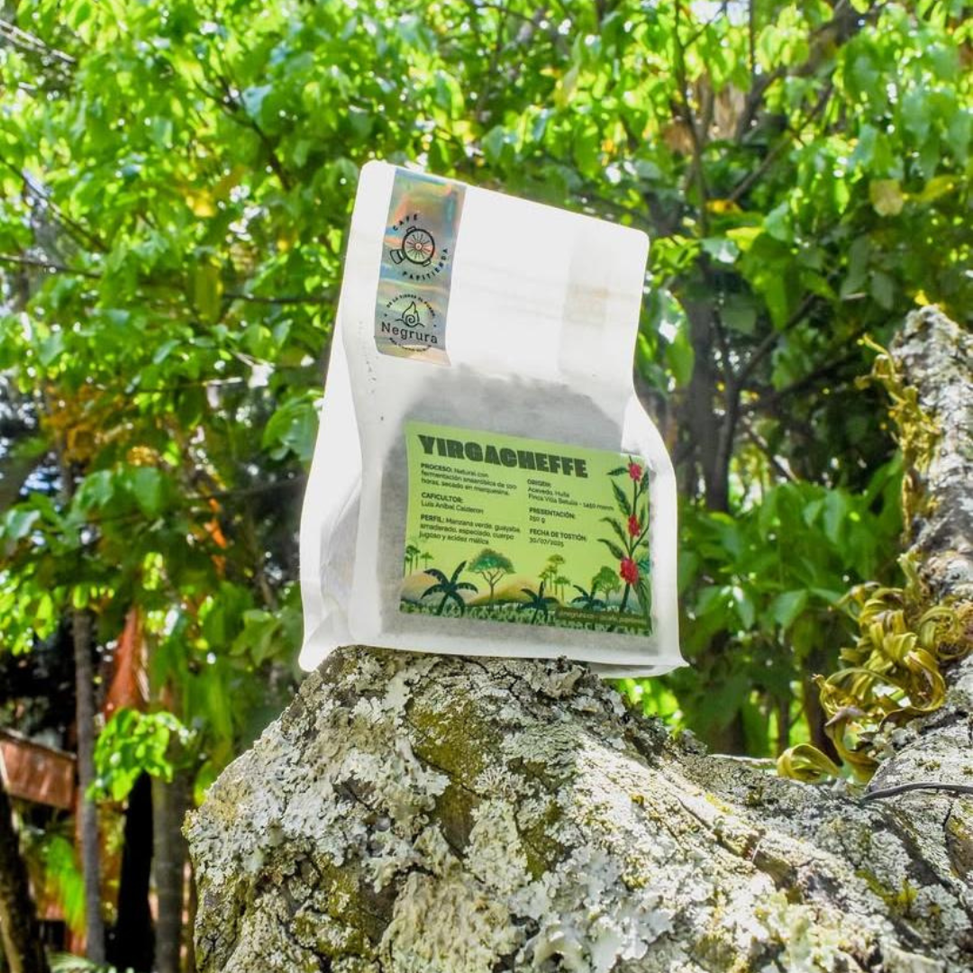 Café Exótico PAPITIENDA Variedad YIRGACHEFFE Natural con Fermentación Anaeróbica de 100 hr 240 g | Acevedo, Huila