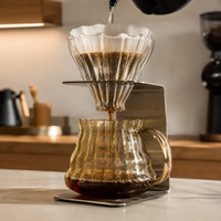 Kit Cafe Filtrado V60 con Server y Filtros Hario