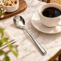 Cuchara Larga para Café y Postres en Acero Inoxidable 20,5 cm
