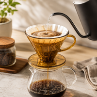 Cafetera Manual Tipo V60 02 Ambar | Cono para Cafe Filtrado