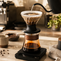 Kit V60 Cafe Metodo Tipo Hario Switch 02 Naranja Server 600 ml