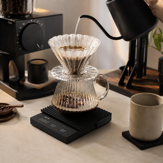 Gramera Profesional para Cafe TIMEMORE BASIC 3 con Temporizador