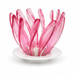 Metodo Tipo HARIO Suiren V60 02 Rosado Flor de Loto para Cafe Filtrado