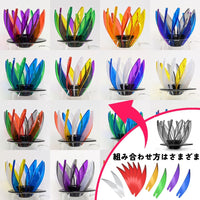 Hario SUIREN Ribs-6 Juego de 6 Piezas para Repuesto Multicolor