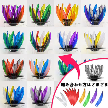 Hario SUIREN Ribs-6 Juego de 6 Piezas para Repuesto Multicolor