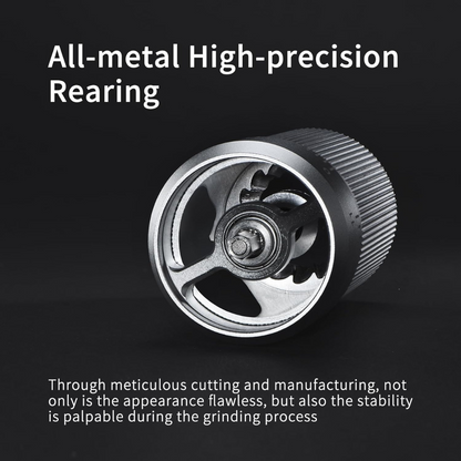 Molinillo Manual Pro Ajustable de Precisión Plateado