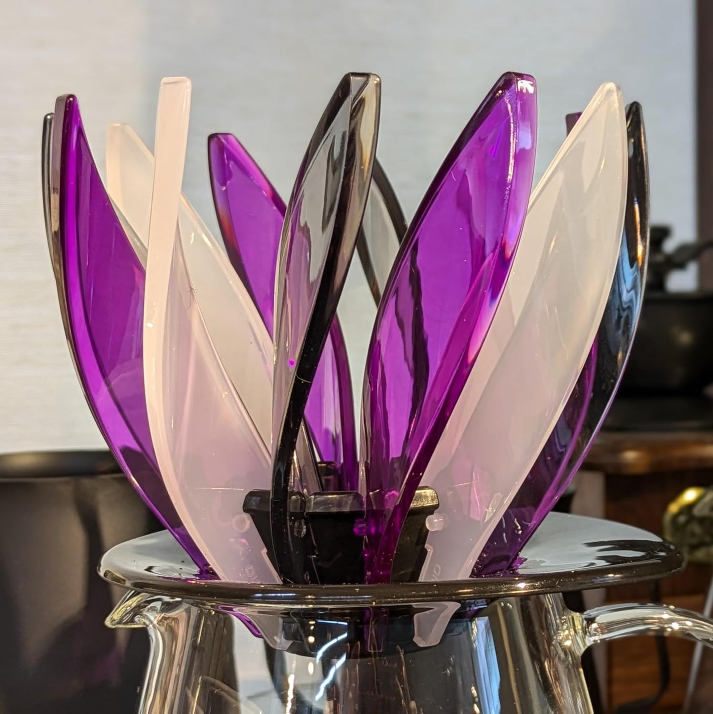 Hario SUIREN Ribs-6 Juego de 6 Piezas para Repuesto Multicolor