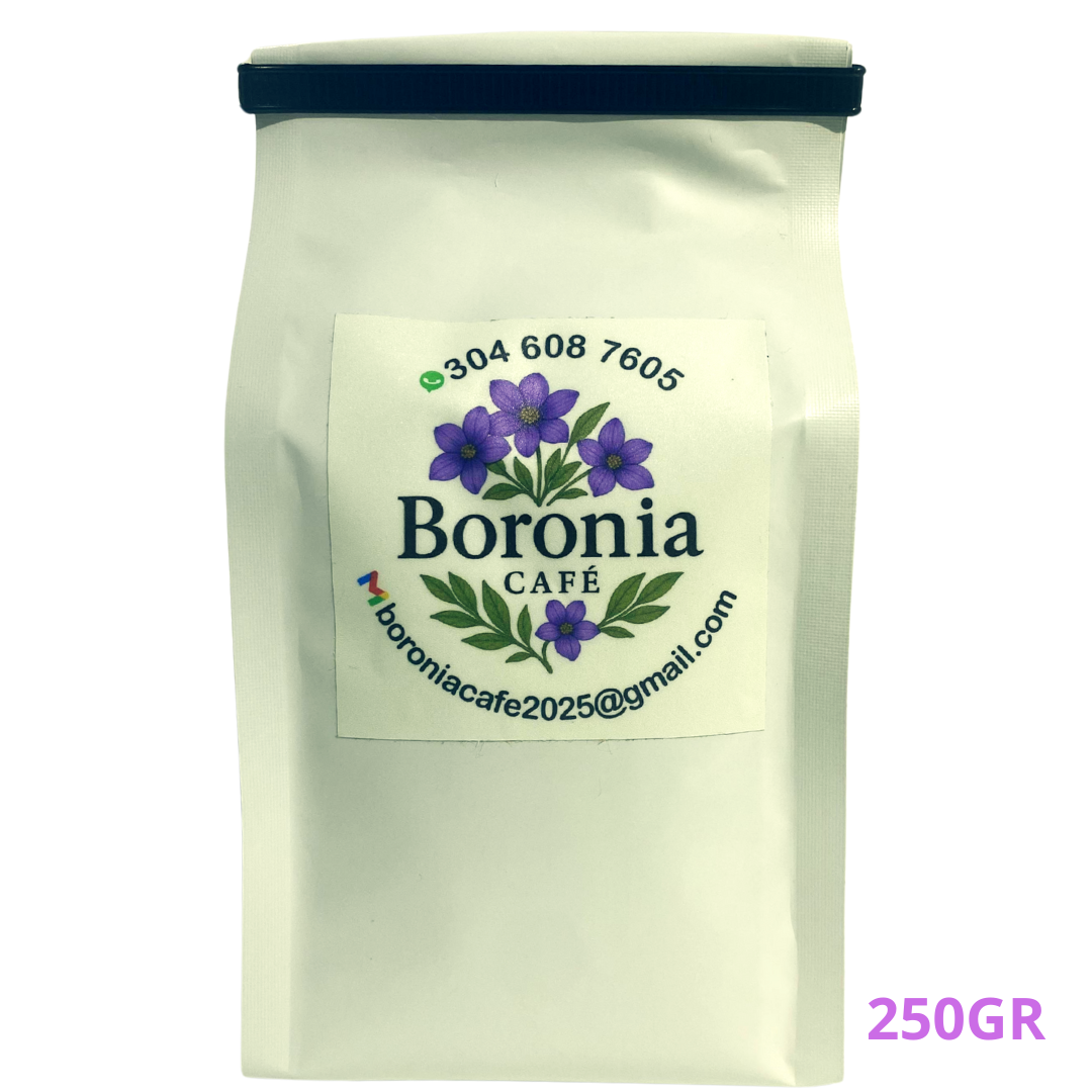 Café Colombiano Boronia Castillo de Especialidad Lavado 250 g | Risaralda