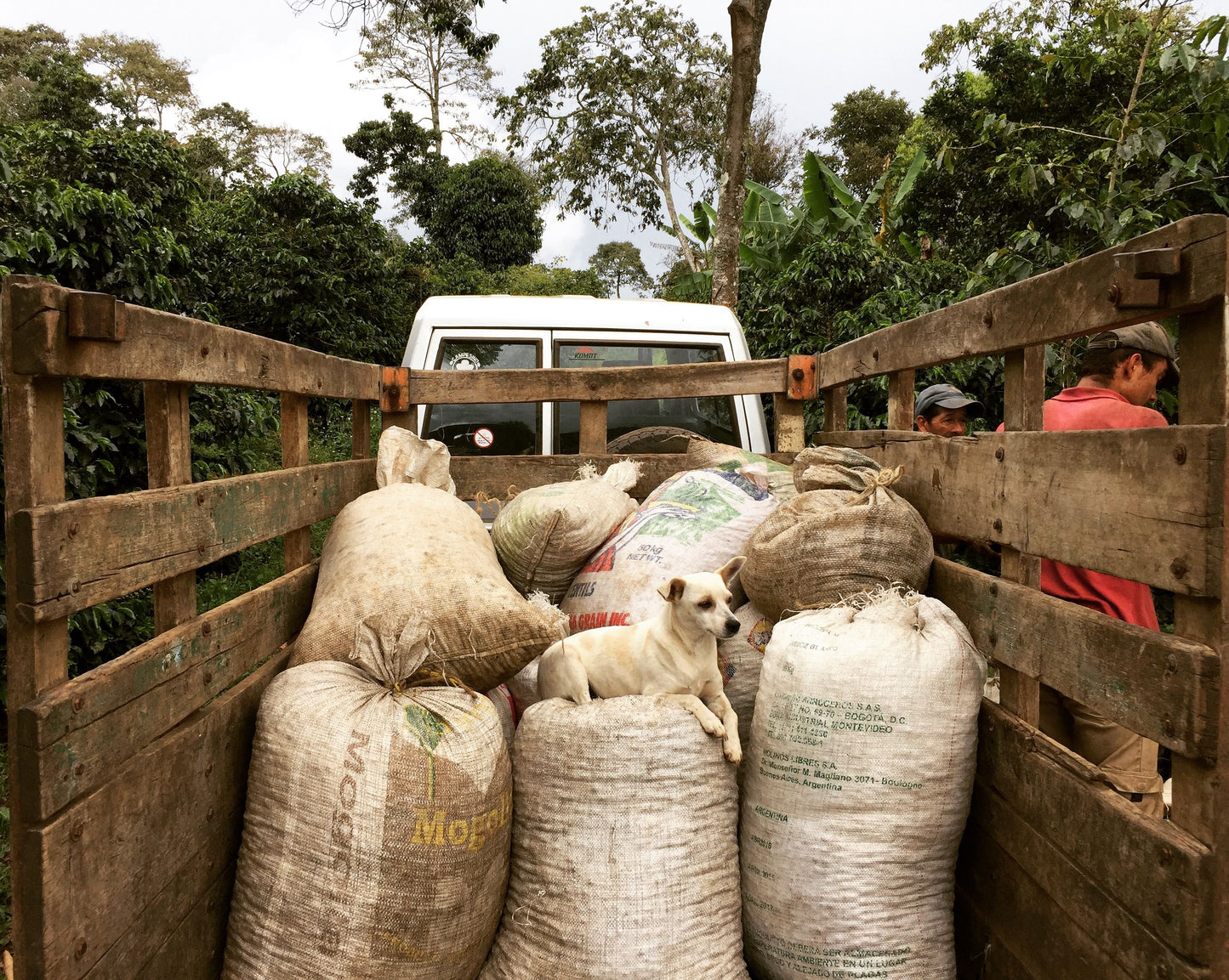 Café Especial CAMPESINO Edición Madre Laura | Jericó, Antioquia 340 g