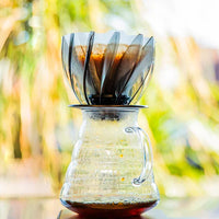 Kit Cafe Drip V60 Flor de Loto Tipo Hario Suiren