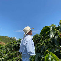 Café de Especialidad Variedad Castillo Rosario - La Camelia 250g