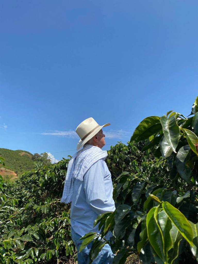 Café de Especialidad Variedad Castillo Rosario - La Camelia 250g