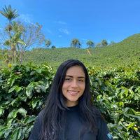 Café de Especialidad Variedad Castillo Rosario - La Camelia 250g