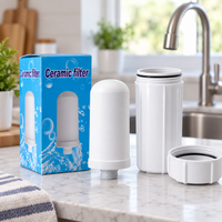Repuesto Filtro Ceramico para Purificador de Agua