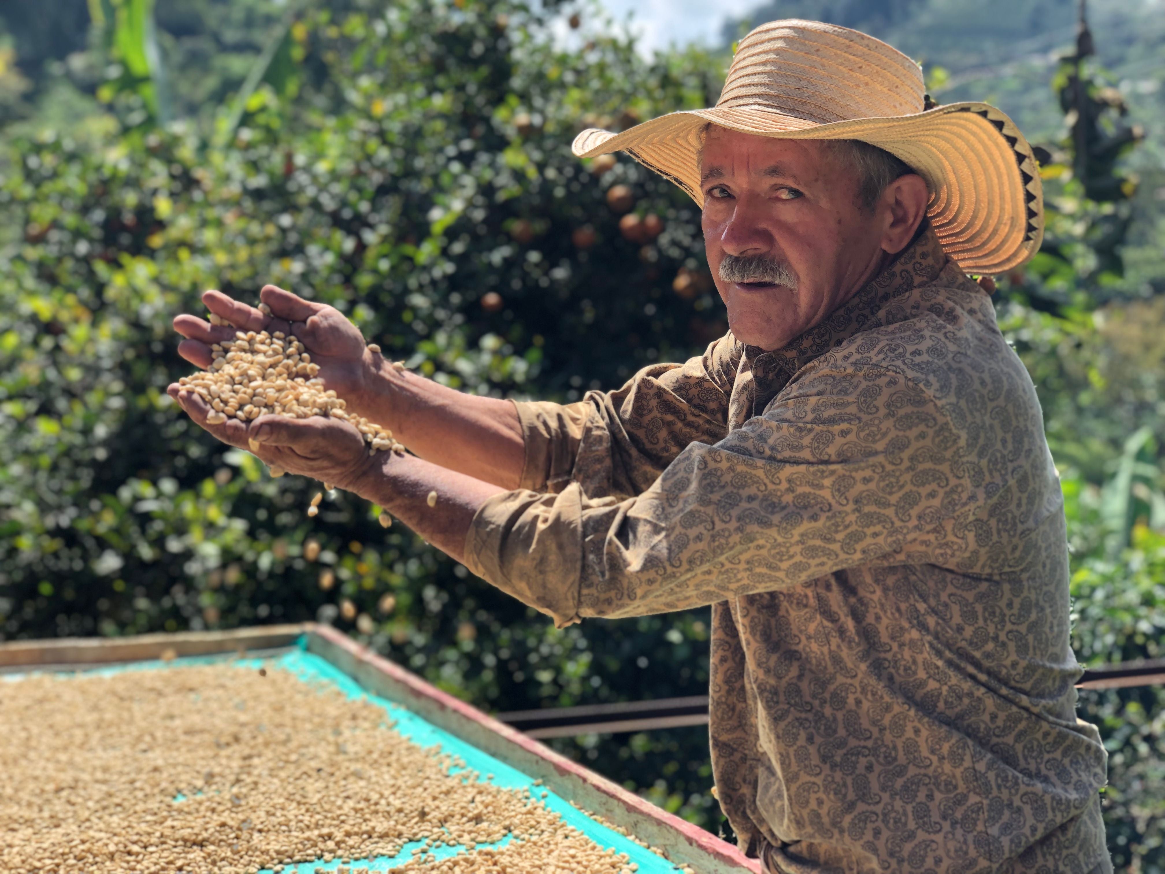 Café Especial CAMPESINO Edición Madre Laura 340 g