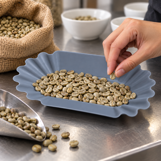 Bandeja Catacion Cafe Gris Para Muestras Y Analisis De Granos