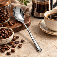 Cuchara Larga para Café y Postres en Acero Inoxidable 20,5 cm