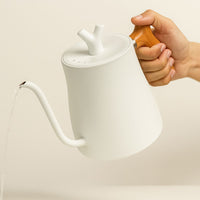 Calentador Agua Electrico Graduable Control Temperatura Profesional Acero Inoxidable