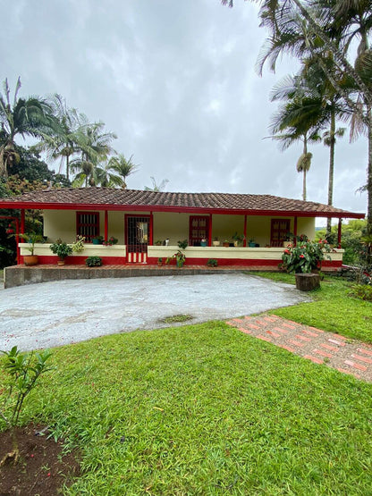 Café de Especialidad Variedad Castillo Rosario - La Camelia 250g