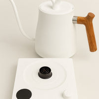 Calentador Agua Electrico Graduable Control Temperatura Profesional Acero Inoxidable