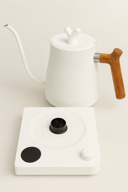 Calentador Agua Electrico Graduable Control Temperatura Profesional Acero Inoxidable