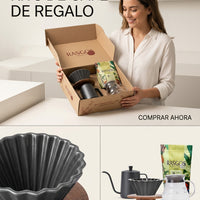 Kit Cafe Origami V60 Calentador Cuello Cisne Server