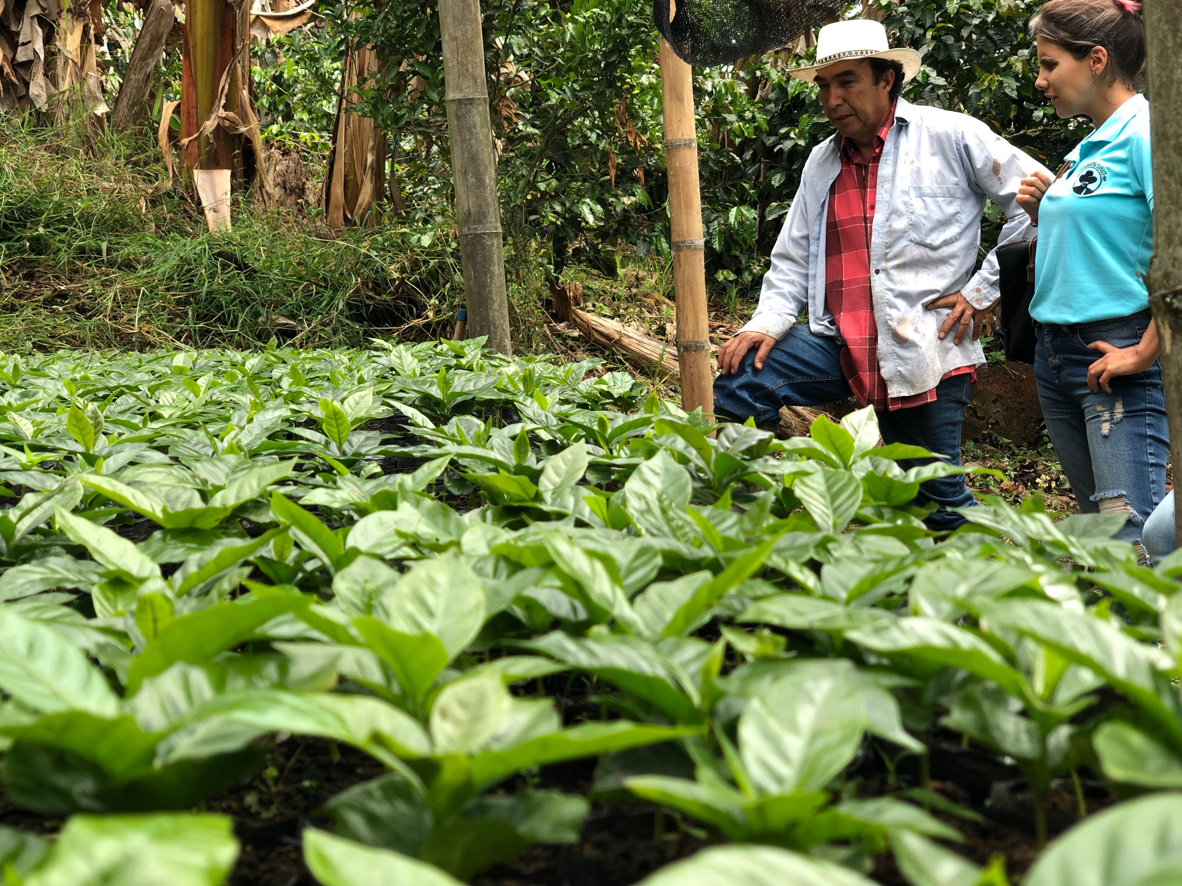 Café Especial CAMPESINO Edición Madre Laura 340 g