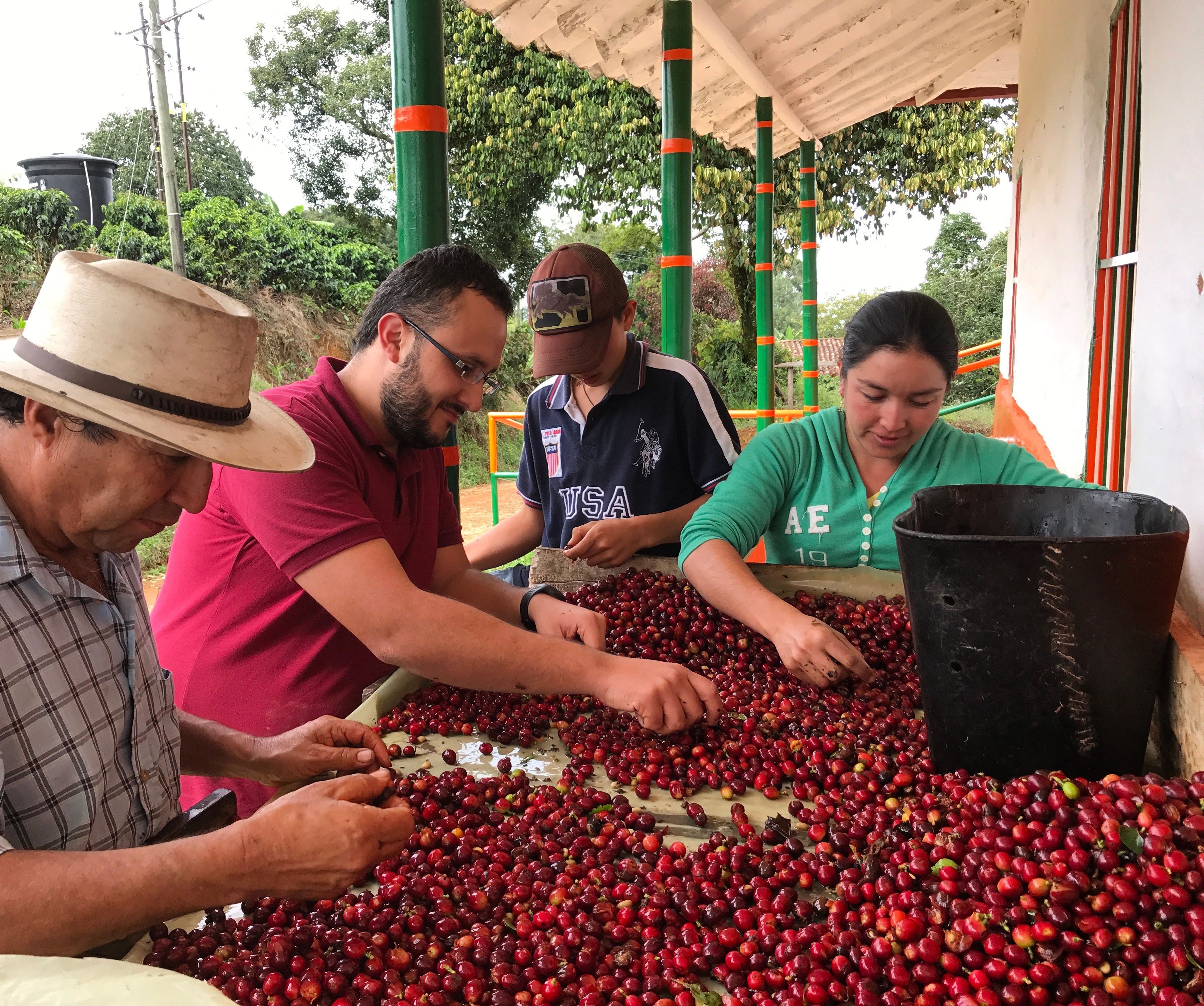 Café Especial CAMPESINO Edición Madre Laura 340 g