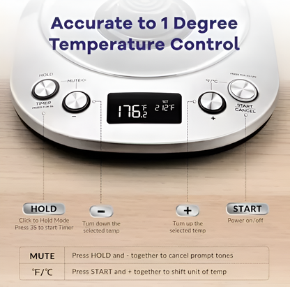 Mecity Hervidor Eléctrico Cuello Cisne Con Pantalla LCD Color Plata