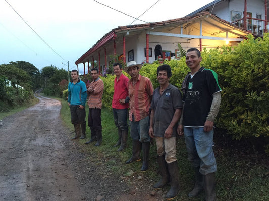 Café Especial CAMPESINO Edición Madre Laura | Jericó, Antioquia 340 g